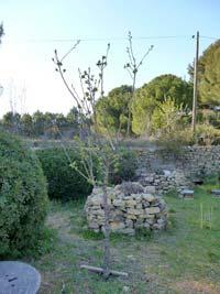 SAINT CYR SUR MER - BIENVENUE DANS MON JARDIN AU NATUREL