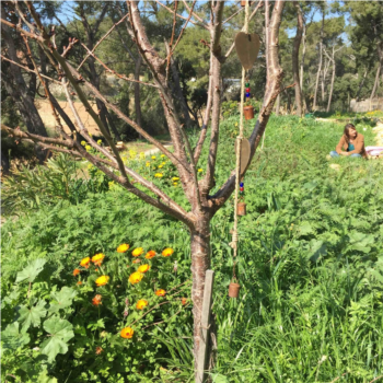 SAINT CYR SUR MER - BIENVENUE DANS MON JARDIN AU NATUREL