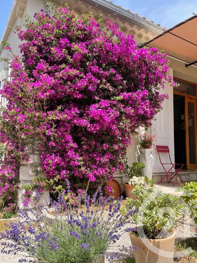 maison à vendre - 3 pièces - 145.0 m2 - ST CYR SUR MER - 83 - PROVENCE-ALPES-COTE-D-AZUR - Century 21 Noël Immobilier